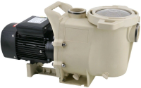 AquaViva LX SWPA400-I поверхностный насос