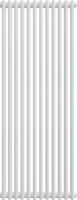 Arbonia 2180/10 № 12 RAL9016 3/4 радиатор отопления