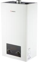 ARIDEYA GRAND 13 FF настенный газовый котел