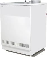 Боринское ИШМА - 80 ElettroSit напольный газовый котел