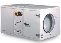 Dantherm CDP 165 промышленный осушитель воздуха