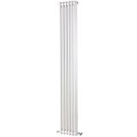 IRSAP IRSAP TESI 21800/06 T30 (RR218000601A430N01) уцененный уцененный стальной трубчатый радиатор 2-колончатый