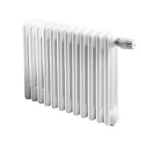 IRSAP TESI 30365/12 №25 (RR303651201A425N01) радиатор отопления
