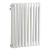 IRSAP TESI 30565/10 №25 (RR305651001A425N01) радиатор отопления