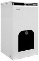 Protherm Бизон 30 NL (0010003940) комбинированный котел
