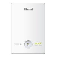 Rinnai BR-C36 настенный газовый котел