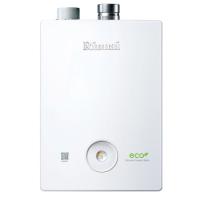 Rinnai BR-R36 (отопительный котел) котел газовый двухконтурный настенный