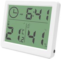 Ritmix CAT-041 WHITE цифровая метеостанция