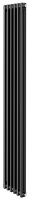 Royal Thermo Insignia C2180 - 06 секц. RAL9005m, боковое 1/2 радиатор отопления