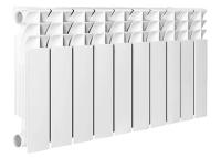 Termica Bitherm 500/80.new 10 биметаллический радиатор