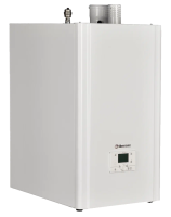 Thermex Coloss SW 100 настенный газовый котел