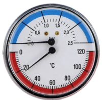 Watts FR 818 (TMAX) 2,5 бар термоманометр аксиальный