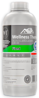 Welness Therm FIXED 1 л арматура для отопления