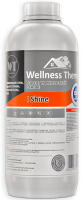 Welness Therm I SHINE 1 л арматура для отопления