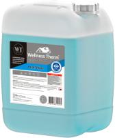 Welness Therm REAL SHINE 10 л для промывки