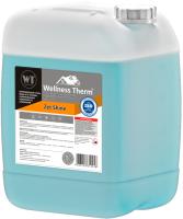 Welness Therm ZET SHINE 10 л для промывки