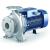 Pedrollo F 50/160A-INOX поверхностный насос