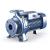 Pedrollo F4 50/160B поверхностный насос