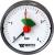 Watts F+R101(MHA) 63/4x1/4" манометр аксиальный