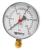 Watts F+R200 (MDR) 100/ 25x1/2" манометр радиальный